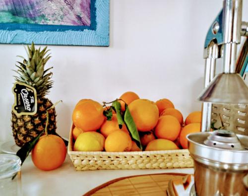 Blue Moon Hotel - image 12