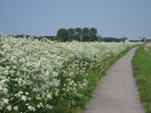 Apkārtne, de Twee Paardjes in Eemsmond