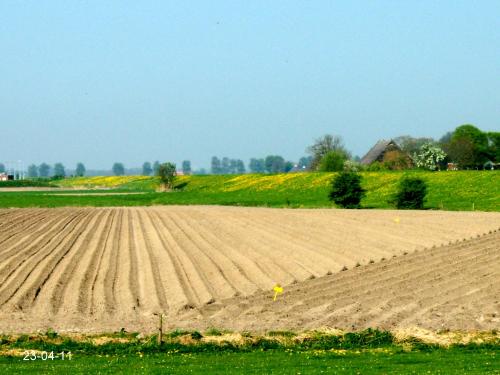 Apkārtne, de Twee Paardjes in Eemsmond
