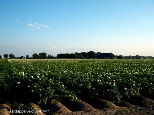 Apkārtne, de Twee Paardjes in Eemsmond