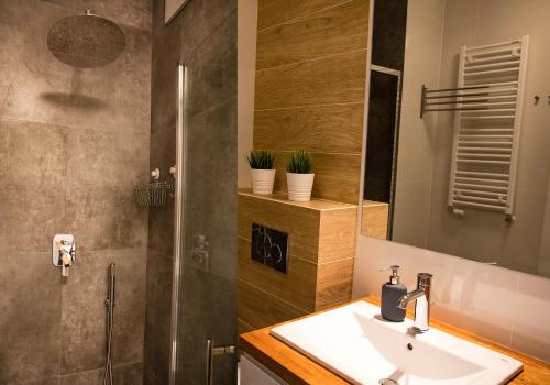 Studio Apartment image 1