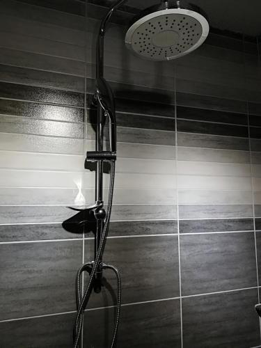 Apartment News Days - image 7