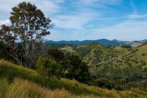 Vistas, Villa Shemshi in Gisborne