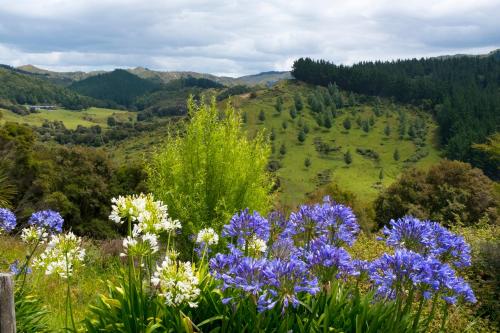 Vistas, Villa Shemshi in Gisborne