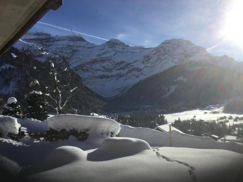 Utsikt, Le Sapin in Les Diablerets