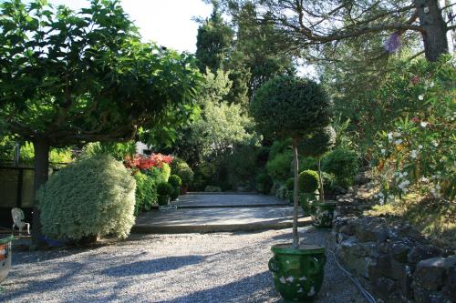 La Maison sur la Colline - Accommodation - Carcassonne