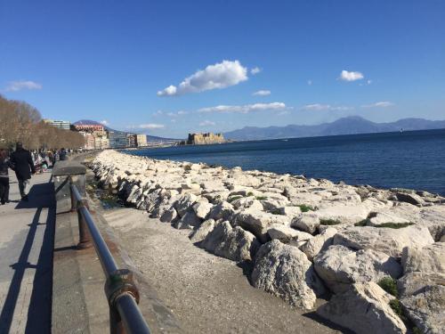 Il Sanfilippo - image 4
