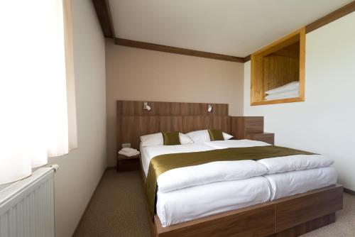 Wellness penzion Medličky - image 3