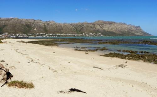 20 Cayman Beach, Gordon's Bay
