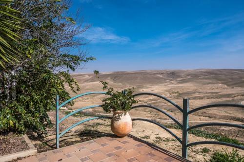 Adi in the desert