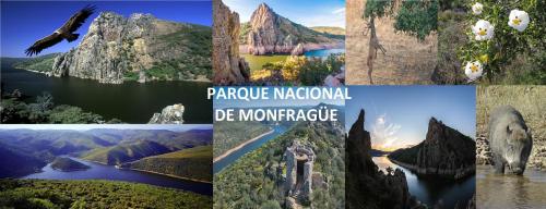 Apartamentos Capuchinas - image 9