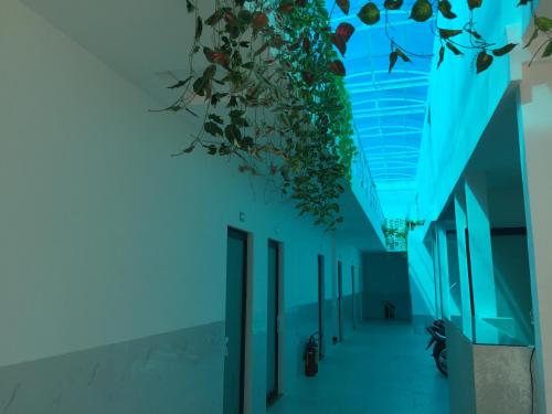 Hotel Mai Tuan Chanh Mon A