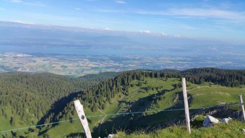 Les Chamois - image 12