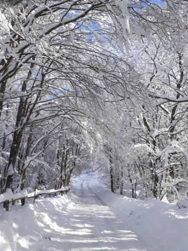  Antica Terrazza Pietramala in Firenzuola