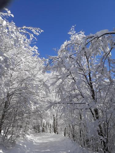  Antica Terrazza Pietramala in Firenzuola