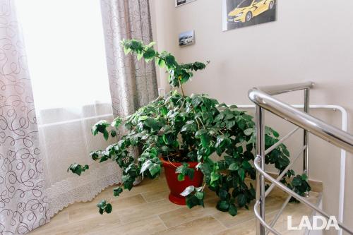 LADA Hotel
