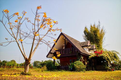 Cozycomo Chiang Dao Cozycomo Chiang Dao