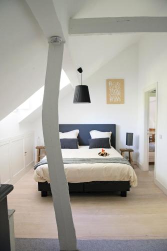 B&B De Hanewijkhoeve - image 10
