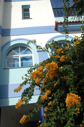 Casa Do Antonio - image 10