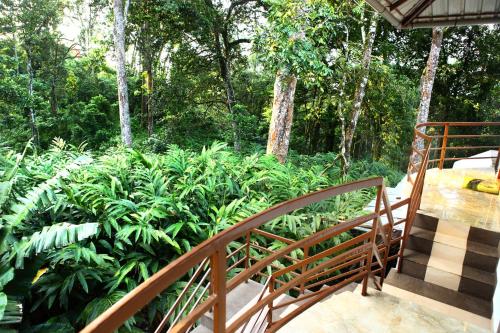 ทัศนียภาพ, Green Shades in การาทิพพารา