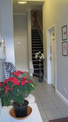 淡水河谷公寓酒店 淡水河谷公寓酒店