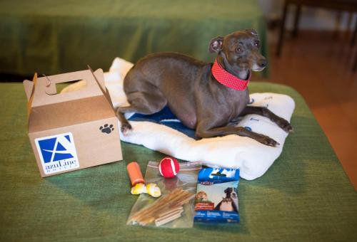 azuLine Hotel Mediterráneo - image 3