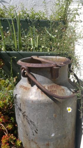 アグタープラス B&B ゲストハウス