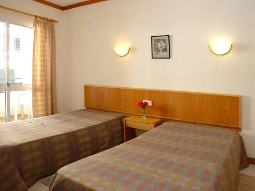 Verde Pino - image 9