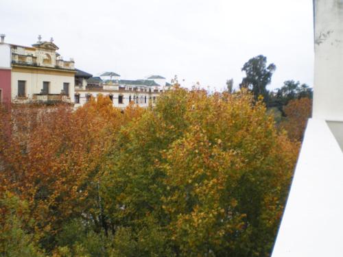 Apartamentos Murallas de Sevilla - image 3