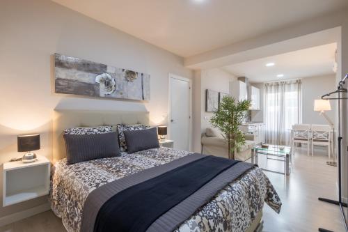 Apartamentos Centro Recogidas, Granada, Granada