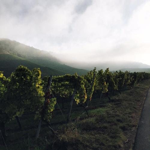 盖斯汀豪斯维根酒店 盖斯汀豪斯维根酒店