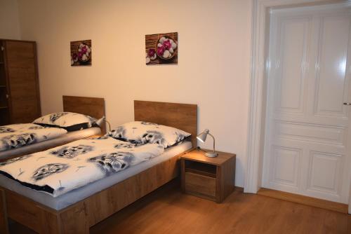 Tiva Downtown Apartments photo 3