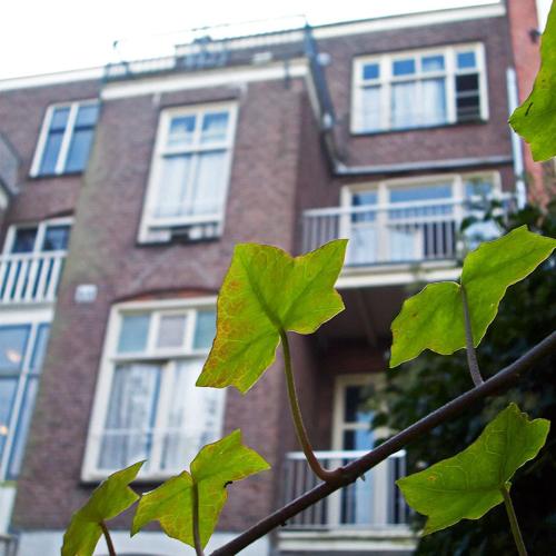 Amsterdam Hostel Annemarie - image 7