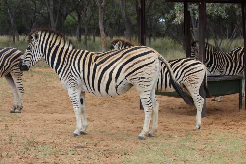 La Barune Game Lodge