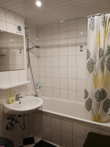 Ruhiges Apt. direkt am Naherholungsgebiet mit Seeblick, Zentrum 5min, Messe 18min, Nürnberg (photo 9)