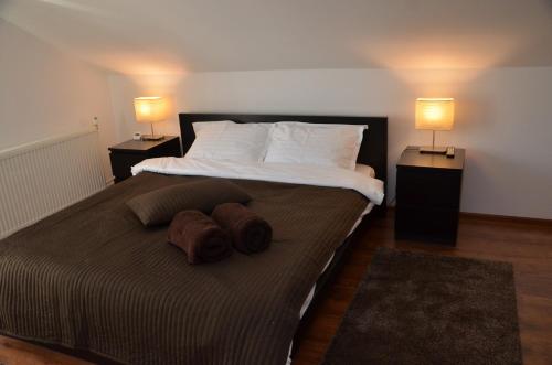 Pensiunea Casa Runcu Buzau