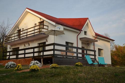 Pensiunea Casa Runcu Buzau