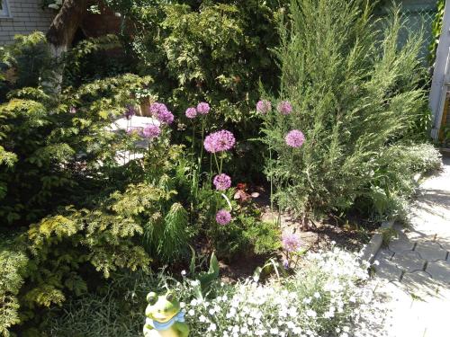 Guest House on Kropotkina - image 2