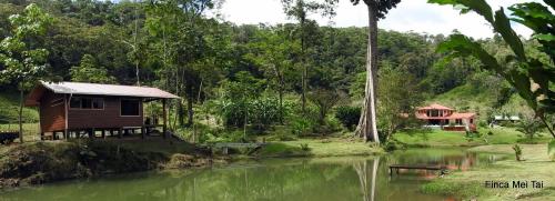 Mei Tai Cacao Lodge