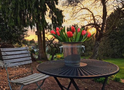 Haagalm Terrasse, Garten