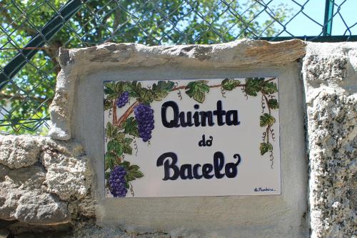 Quinta do Bacelo Casa completa 4 quartos e piscina - image 2