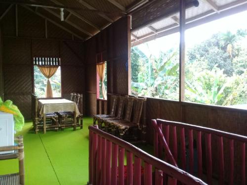 View Homestay Bukitlawang