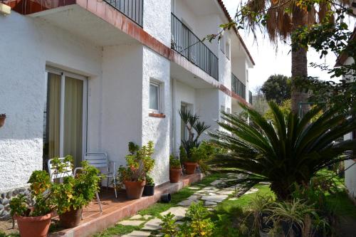 Hostal Casa Torrent - Accommodation - Canet de Mar