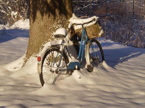 Chambres d'Hôtes le Clos des Lesses - image 2