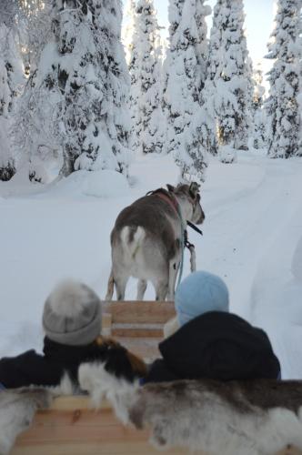 Hotel Arctic Zone - image 14