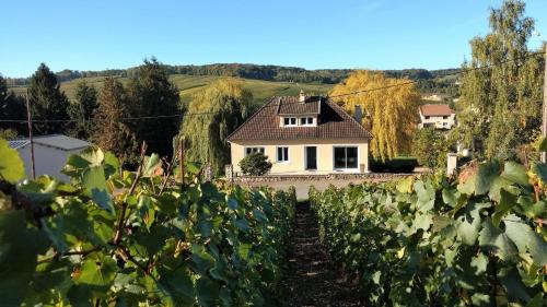 Gîte le Moulin des Prés gîte à louer Le Mesnil-sur-Oger