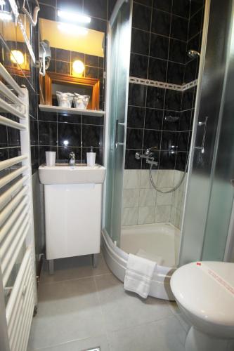 Hotel Pansion Stari Grad - image 4