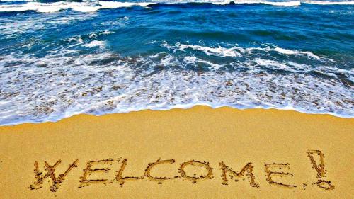 Ocean Walk Resort 1302 - image 5