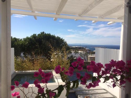 Ostraco Suites - image 2