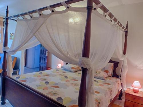 Le Parc aux Orchidees in Pointe-Noire